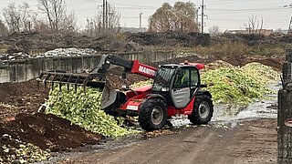 Ein roter Teleskoplader mit Frontschaufel entleert eine Ladung grüner Pflanzenreste auf einem Kompostplatz. Im Hintergrund befinden sich grosse Erdhügel, weitere Pflanzenabfälle und kahle Bäume unter grauem Himmel.